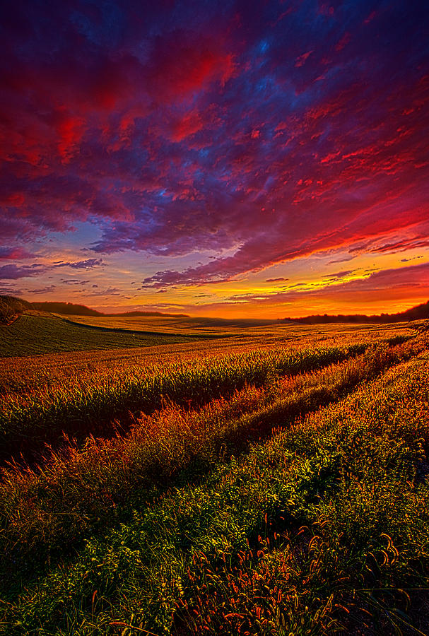 More Than A Feeling Photograph by Phil Koch