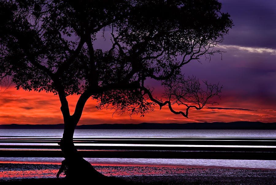 Moreton Bay View Photograph by Robert Charity