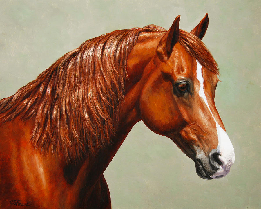 Horse Painting - Morgan Horse - Flame by Crista Forest