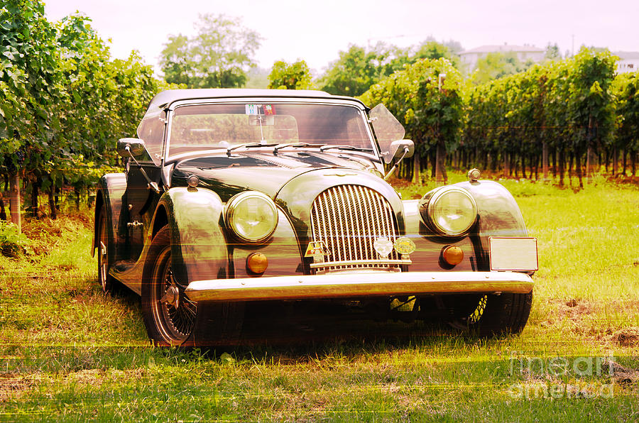 Morgan plus 4 in front of vineyard Photograph by Perry Van Munster