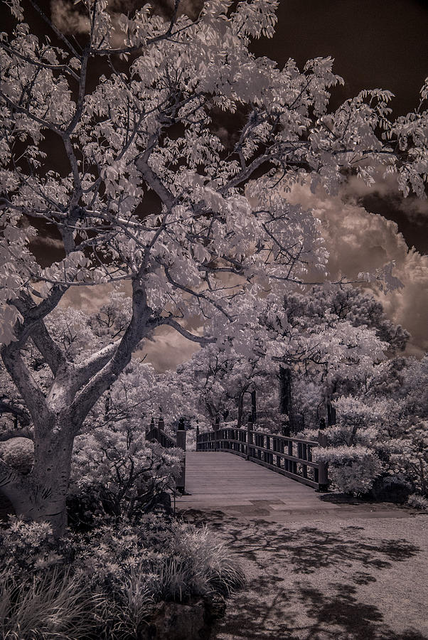 Landscape Pyrography - Morikami Gardens - Bridge by Ellie Perla