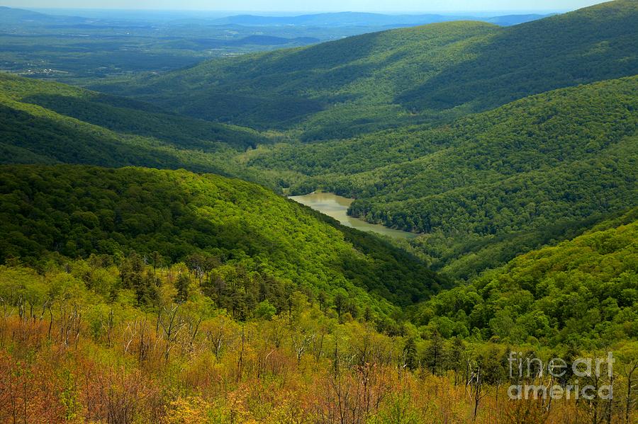 Shenandoah National Park Photograph - Moormans River Overlook In Spring by Adam Jewell