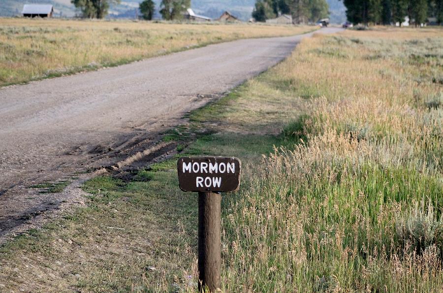 Mormon Row Photograph by Catie Canetti