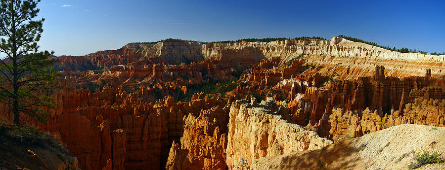 Morning at Bryce Panorama Photograph by Jeremy Rhoades