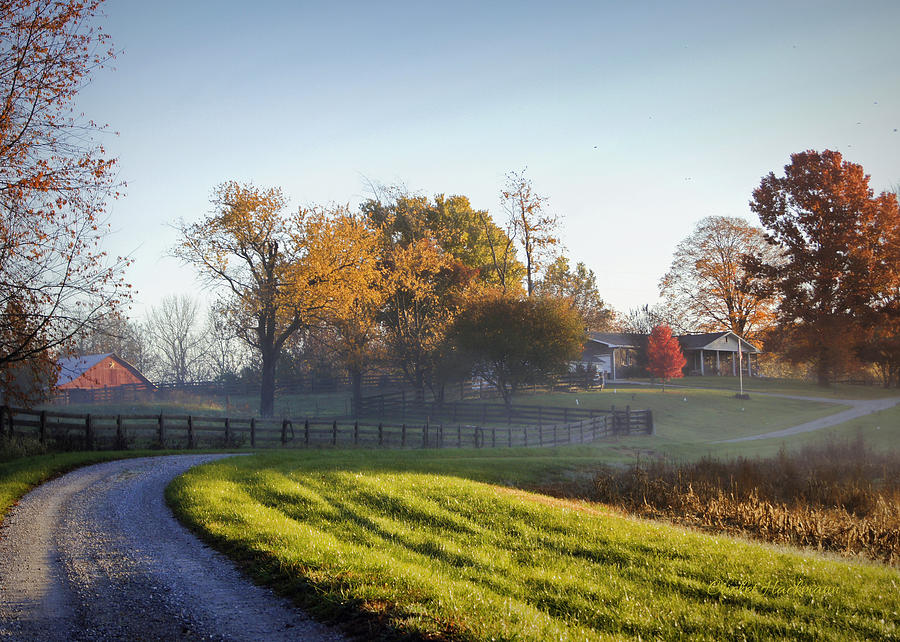 Morning at Glenn Valley Farm Photograph by Cricket Hackmann