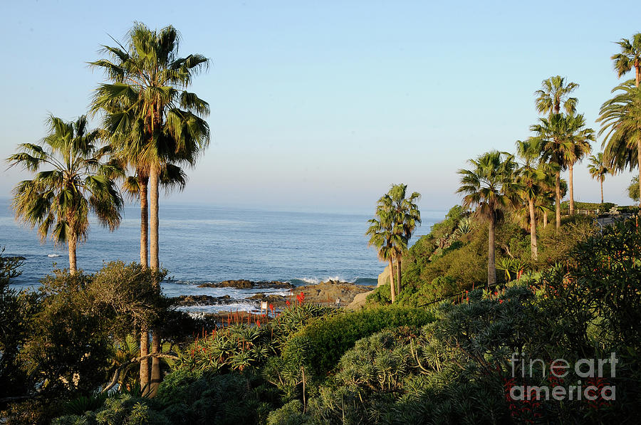 Morning at Laguna Beach Photograph by Timothy OLeary