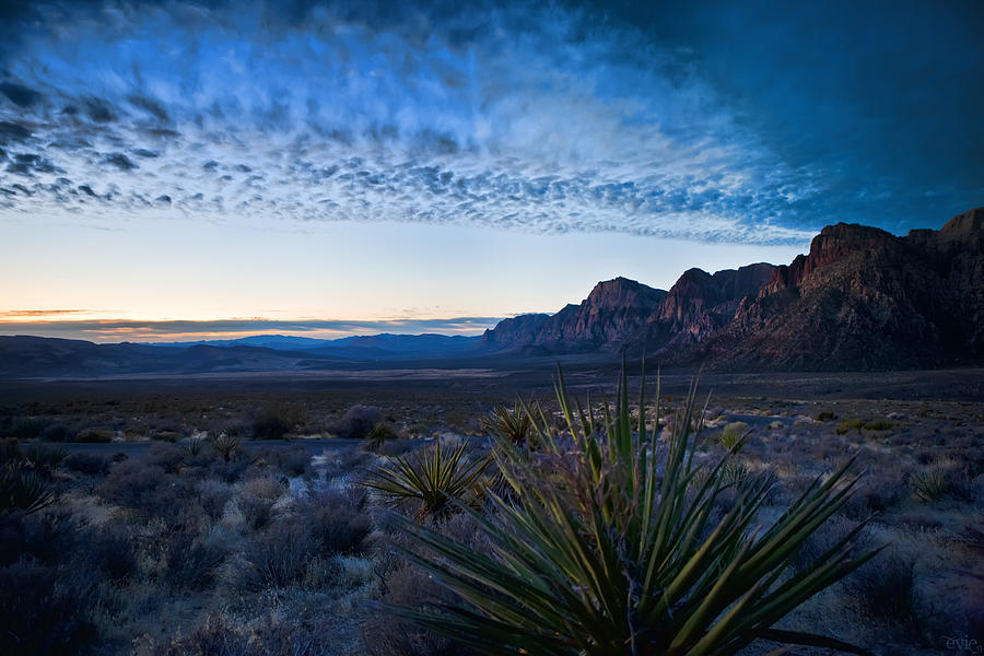 Morning At Red Rock Photograph By Evie Carrier 