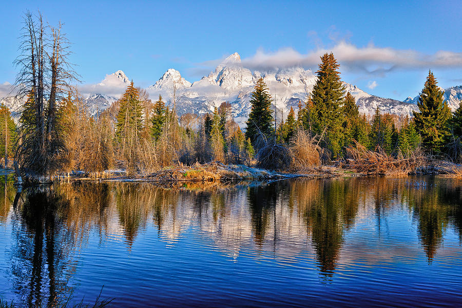 Morning at Schwabacher Landing Photograph by Greg Norrell