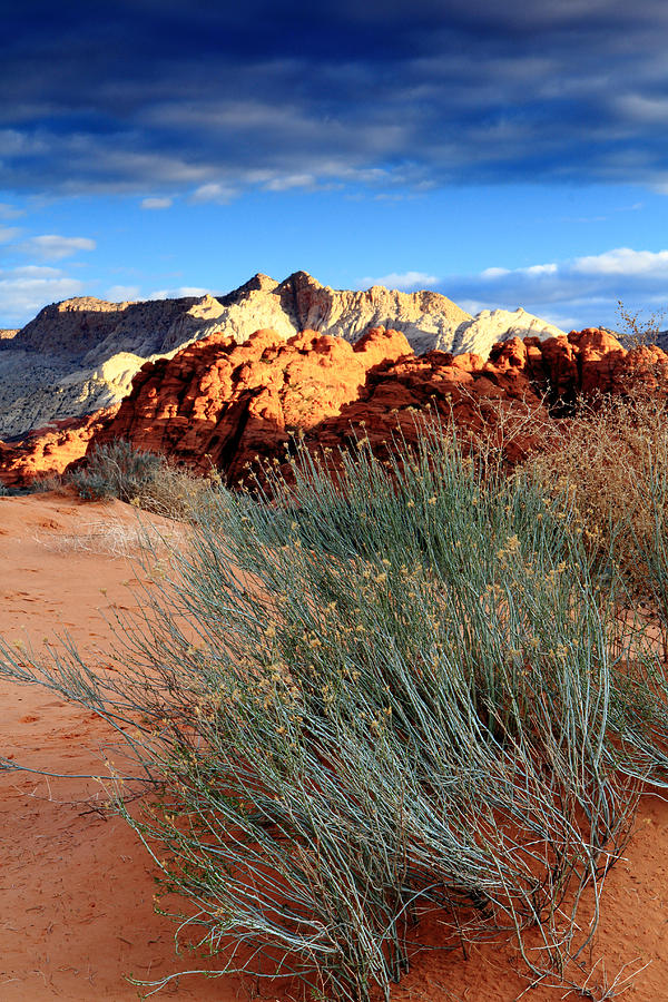 Morning at Snow Canyon State Park Photograph by Eric Foltz