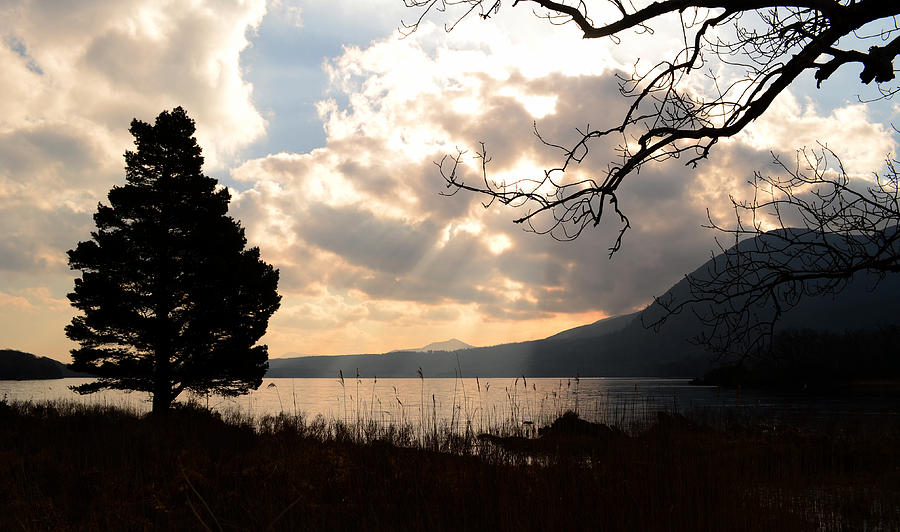 Killarney National Park Photograph - Morning at the Lakes by Barbara Walsh