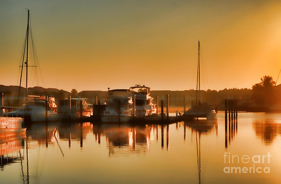 Morning at the marina Photograph by Dan Friend