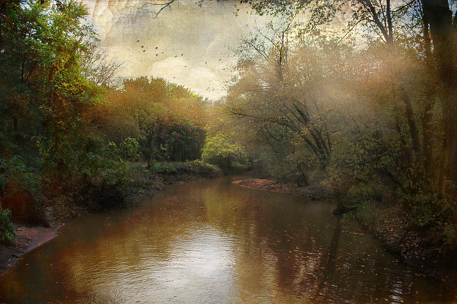 Morning at the River Photograph by John Rivera