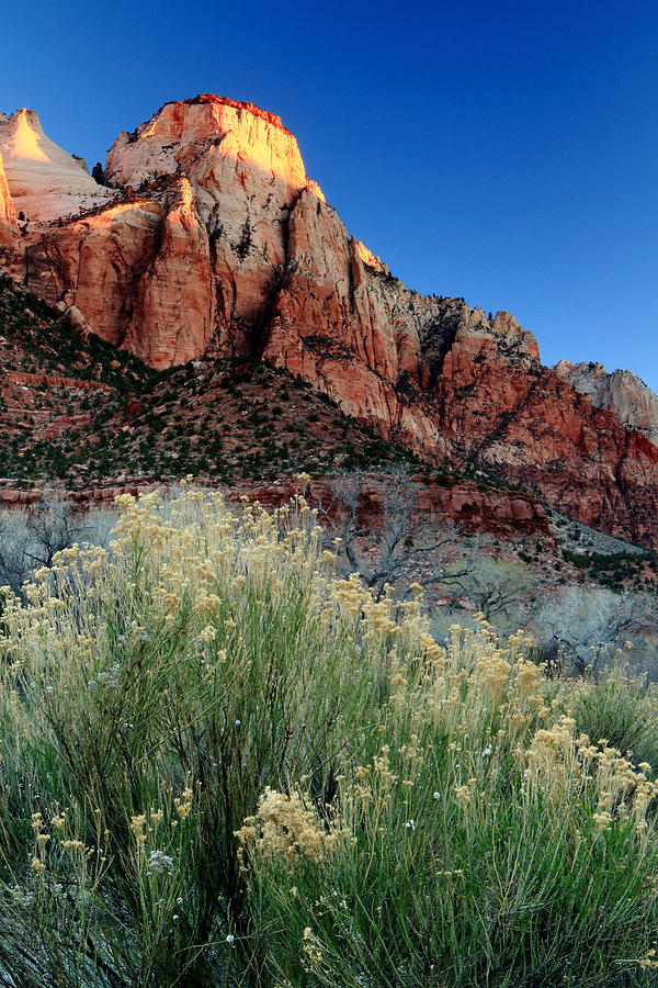 Morning at Zion National Park Photograph by Eric Foltz