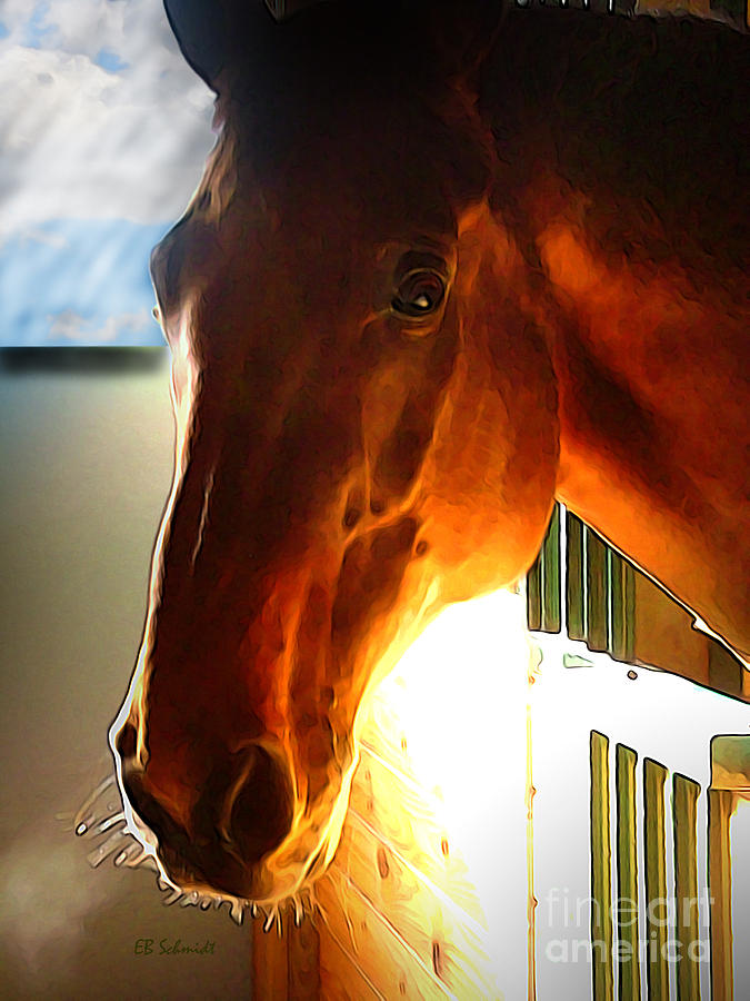 Horse Mixed Media - Morning Awaits by E B Schmidt