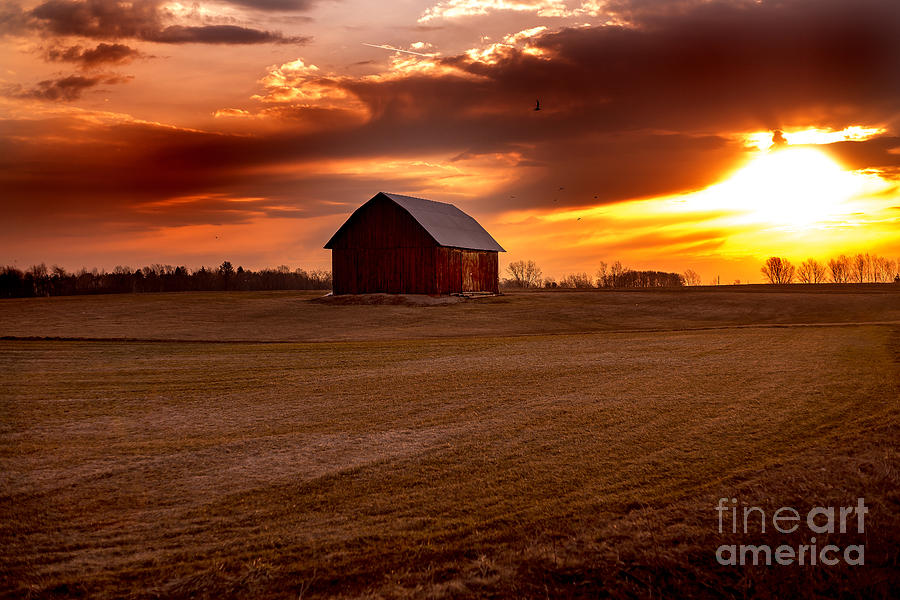 Morning Barn Photograph by Randall Cogle
