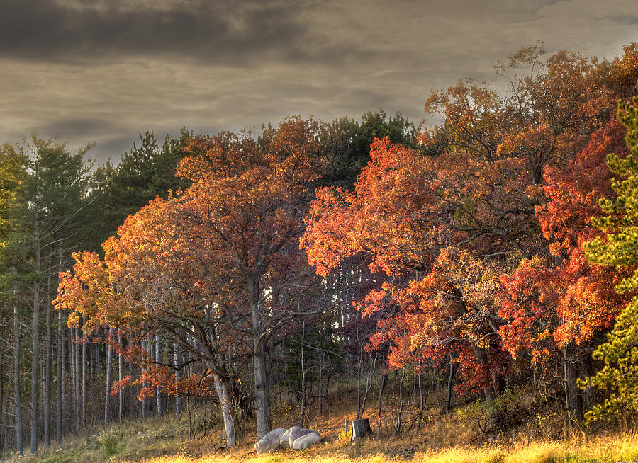 Fall Photograph - Morning Beauty by Thomas Young