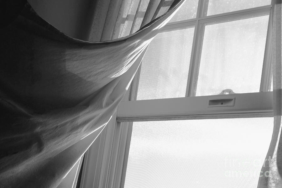 Black And White Photograph - Morning Breeze by Diane Diederich