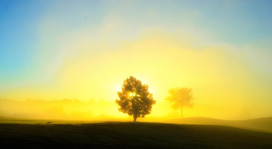 Morning Burst Photograph by Samuel Crockett - Fine Art America