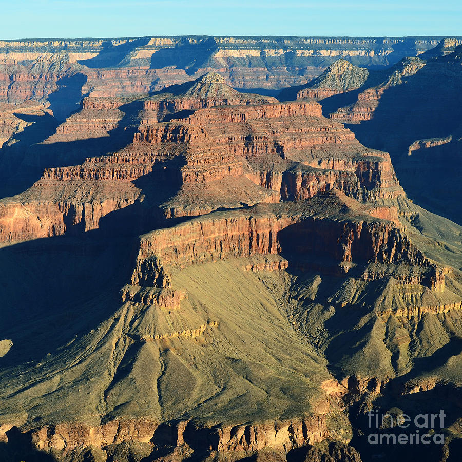 Morning Color and Shadow Play in Grand Canyon National Park Square Photograph by Shawn OBrien