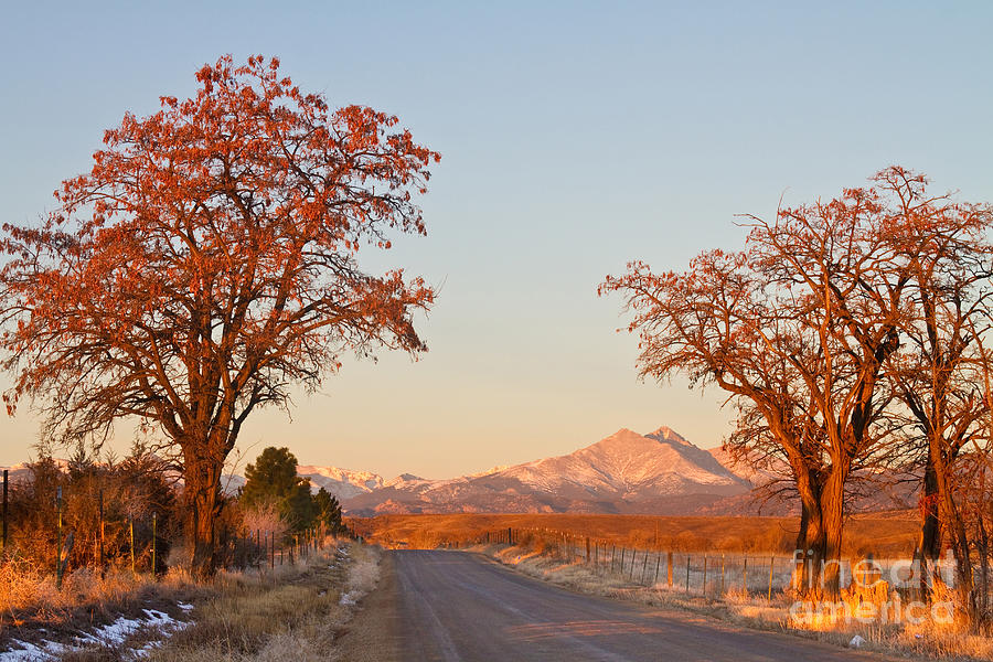 Morning Country Drive Longs Peak View Photograph by James BO Insogna