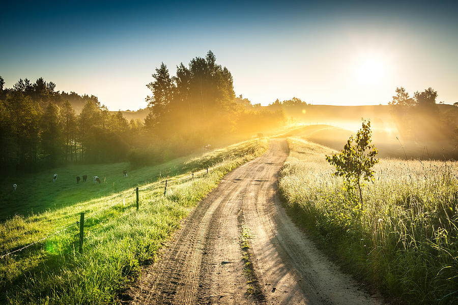 Morning Country Road through the Foggy Landscape - Colorful Sunrise Photograph by Konradlew