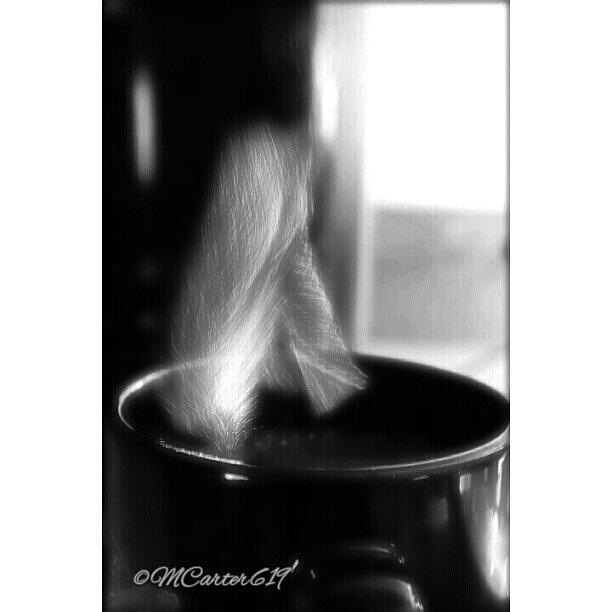 Coffee Photograph - Morning Cup. #photooftheday by Mary Carter