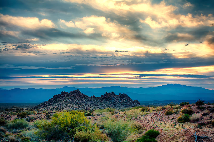 Morning Desert Glow Photograph by Fred Larson