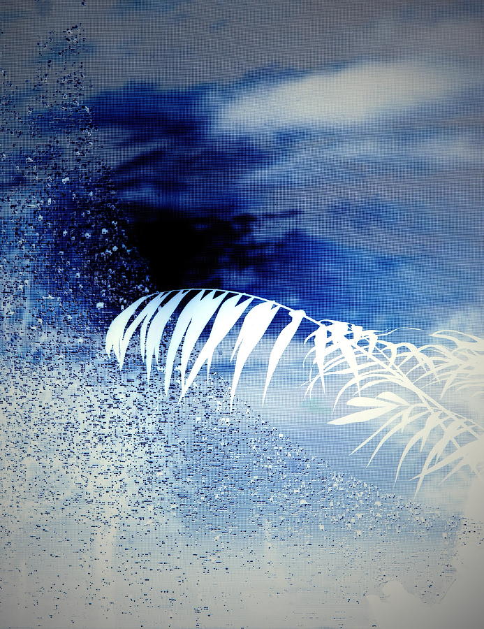 Abstract Photograph - Morning Dew Screen In Blue by Joyce Dickens