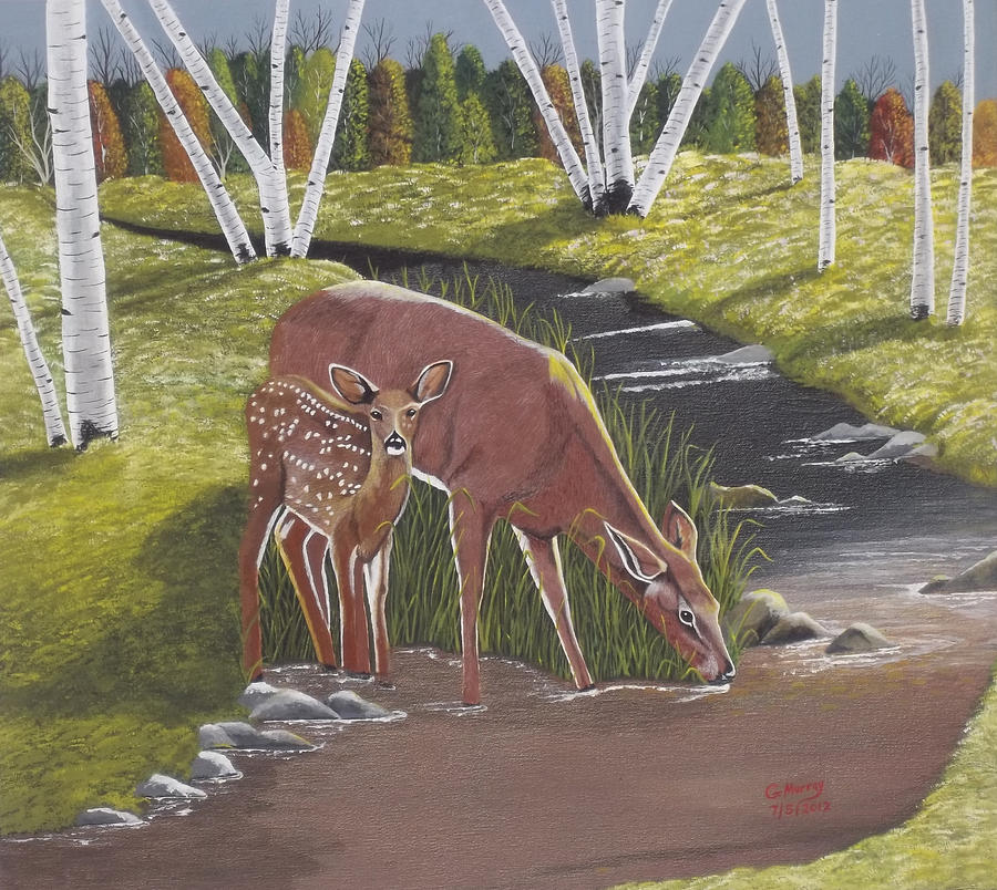 Deer Painting - Morning Drink by Gregory Murray