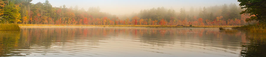Morning fall color at the lake Photograph by Vance Bell
