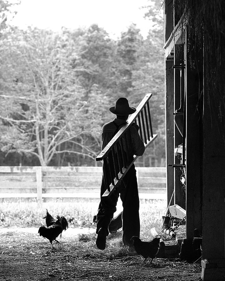 Morning Farm Chores Photograph By Dick Wood Fine Art America