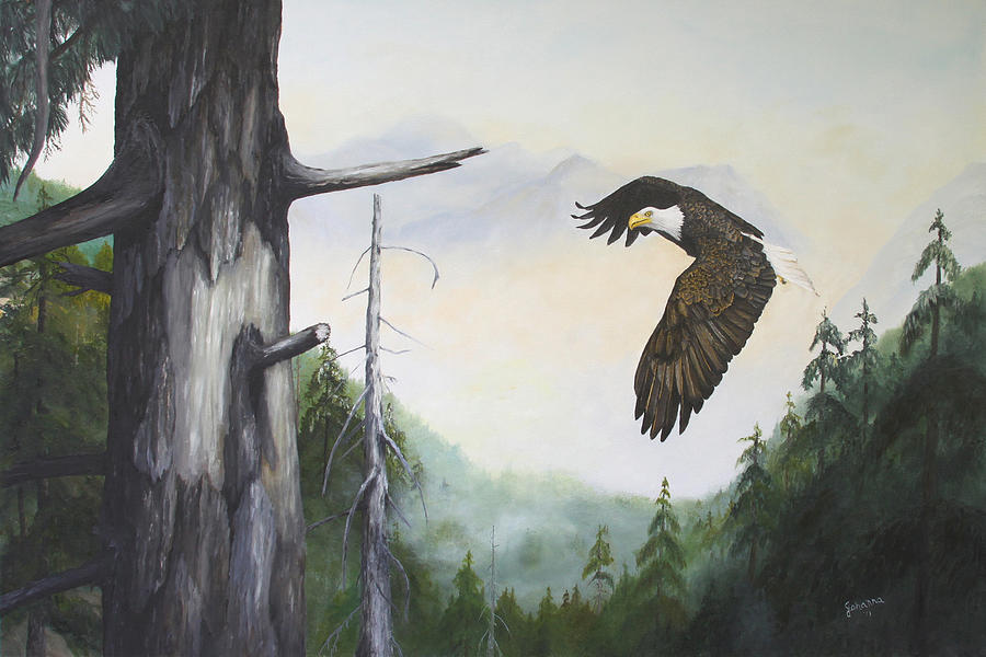 Morning Flight - Bald Eagle Painting by Johanna Lerwick