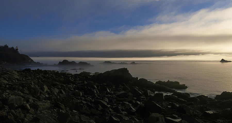 Morning Fog Burning Off at Quoddy Photograph by Marty Saccone