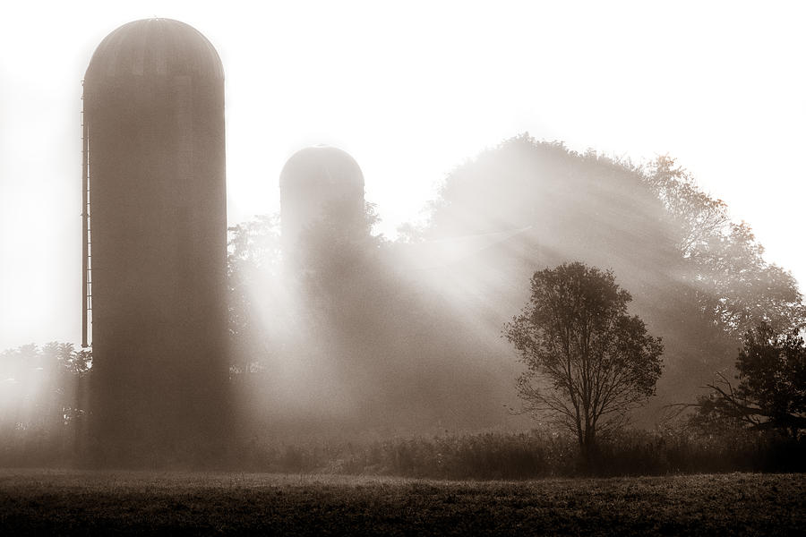 Tree Photograph - Morning fog burning off the farm by Chris Bordeleau