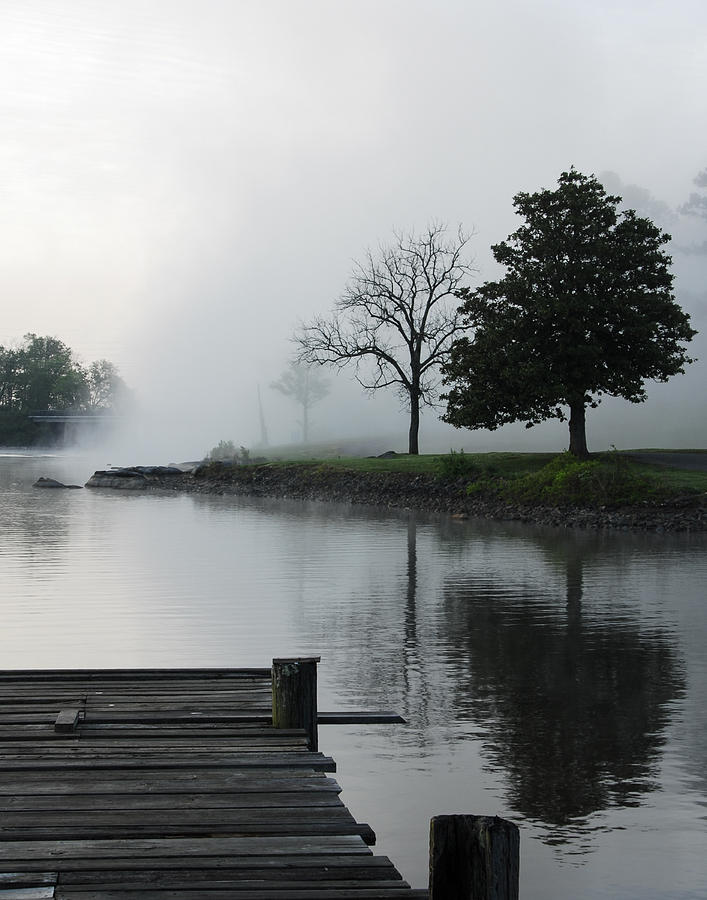 Morning Fog Photograph by Carol Erikson