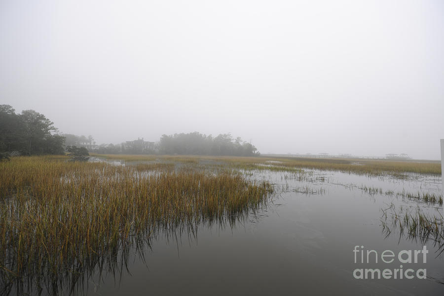Morning Fog Photograph