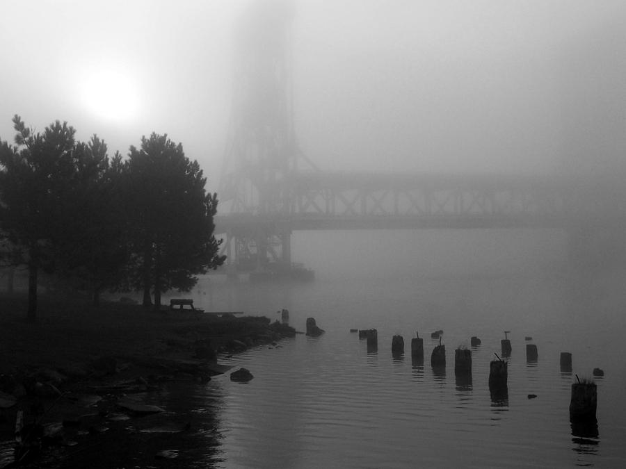Morning Fog Photograph by David T Wilkinson
