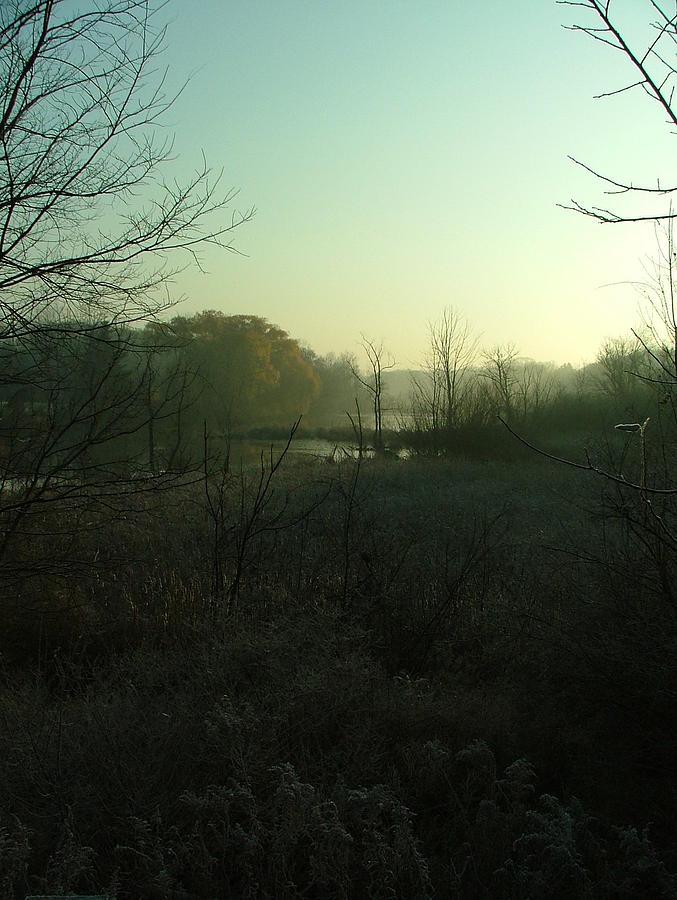 Duck Photograph - Morning Fog by Dennis Pintoski