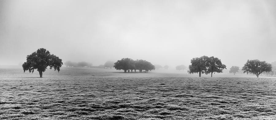 Morning Fog Photograph by Howard Salmon