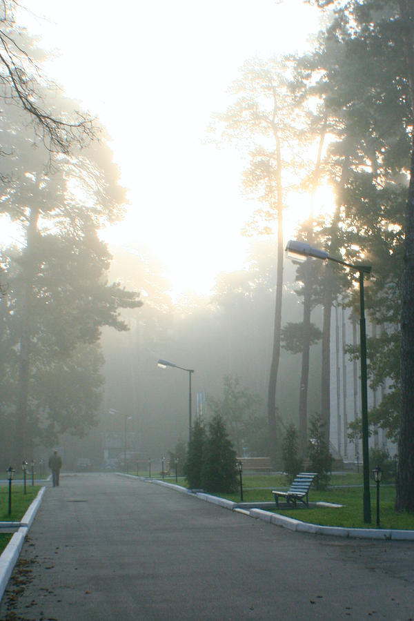 Morning Fog Photograph by Jon Emery