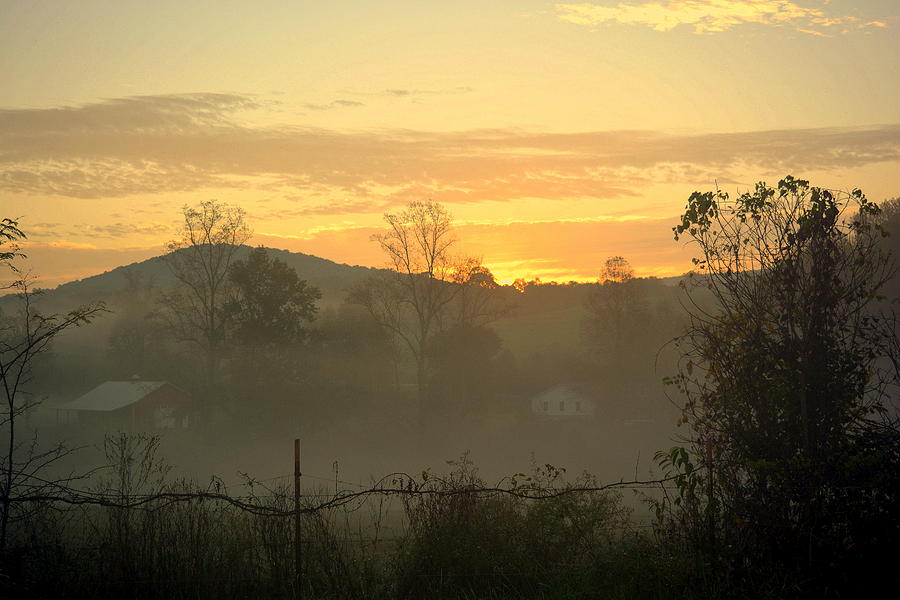 Morning Fog Photograph by Kathy Barney