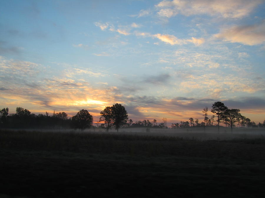 Morning Fog Photograph by Loretta Pokorny