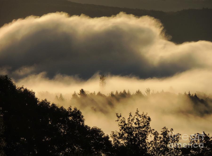 Morning Fog  Photograph by Marcia Lee Jones