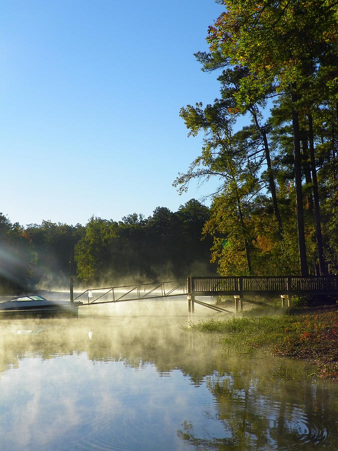 Morning Fog On The Lake 3 Photograph by Lisa Wooten