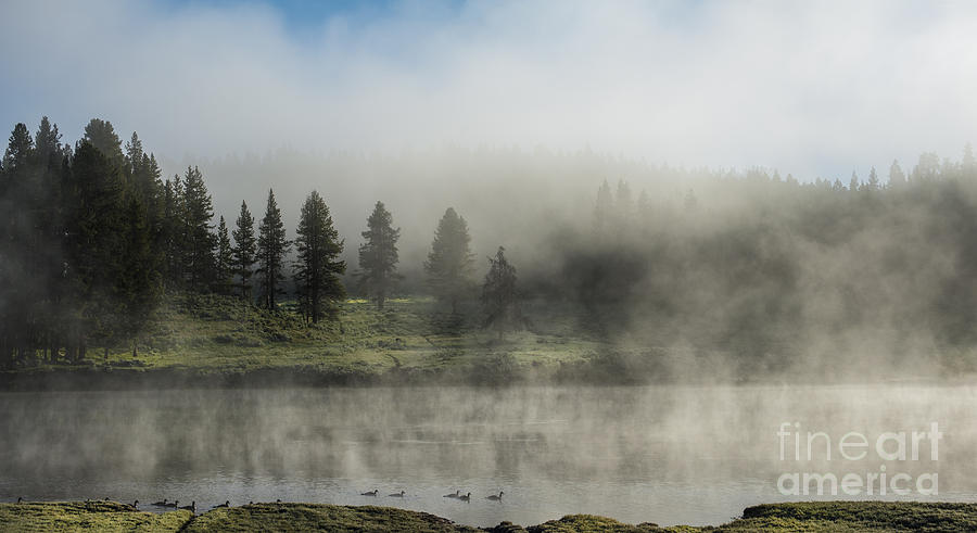 Morning Fog on the Yellowstone Photograph by Sandra Bronstein