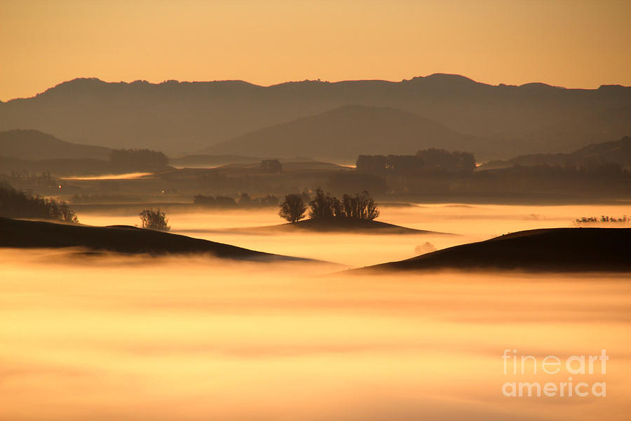 Morning Fog over Sonoma County Photograph by Wernher Krutein