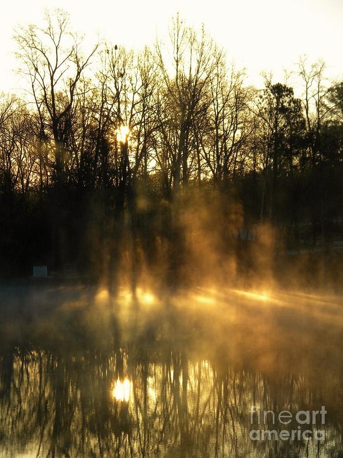 Nature Digital Art - Morning Fog Rising by Matthew Seufer