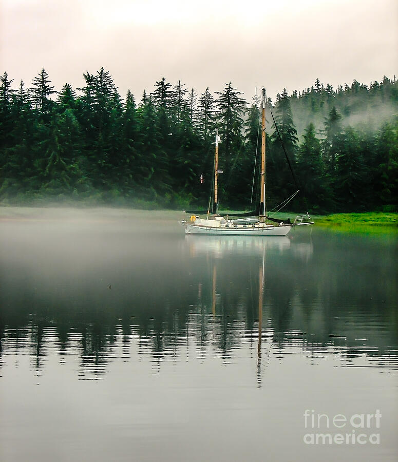 Morning Fog Photograph by Robert Bales