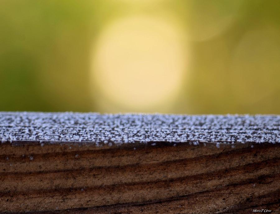 Morning Frost Abstract Photograph by Maria Urso