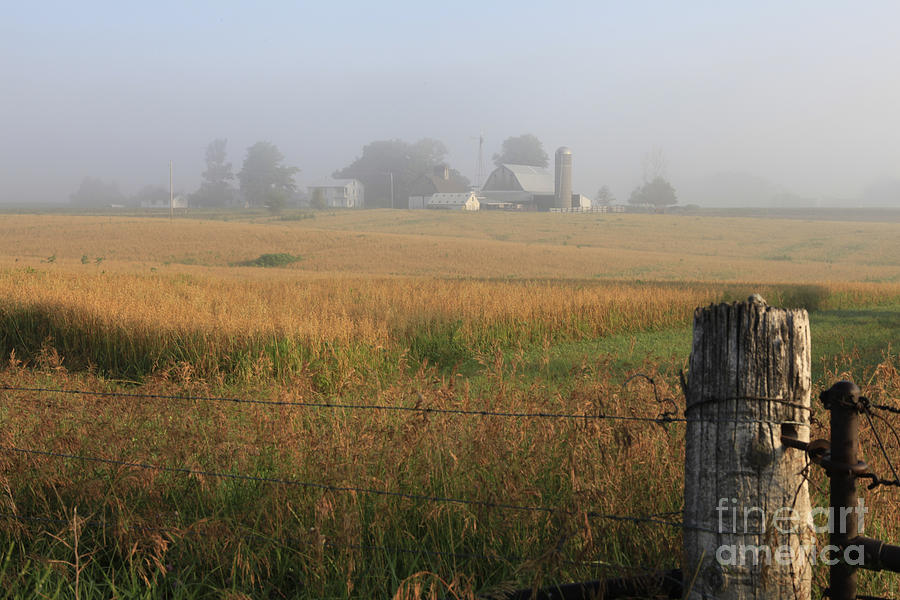 Farm Photograph - Morning Gate by Kelly Morrow